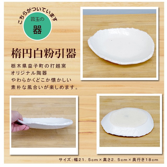 睡蓮木(スイレンボク)の苔玉