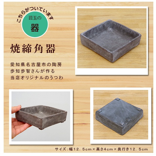 焼締角器