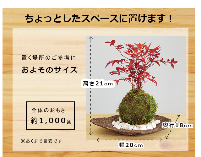 南天苔玉