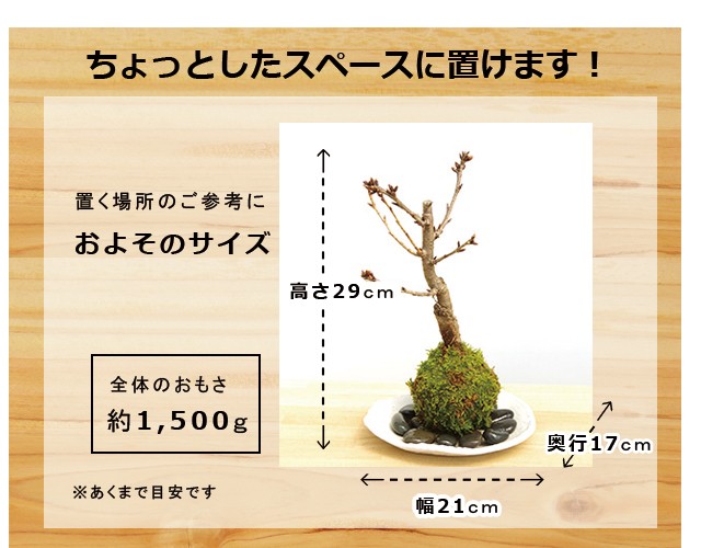 楕円白粉引器