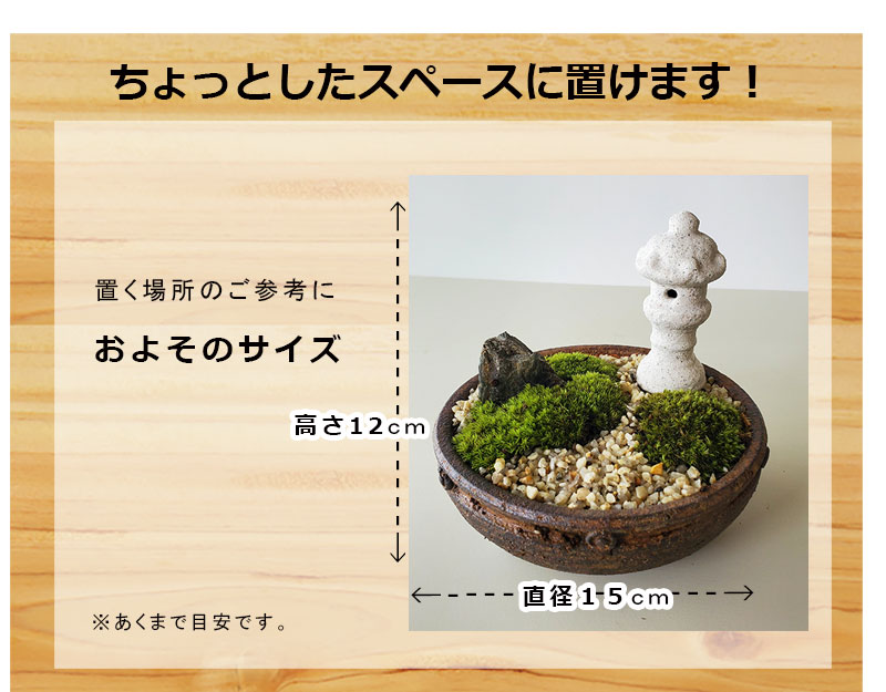 苔盆栽 春日灯篭 信楽焼 丸小紋 とうろう セット 茶鉢 苔 こけ 苔盆栽 春日灯篭 信楽焼 丸小紋 とうろう セット 茶鉢 苔 こけ