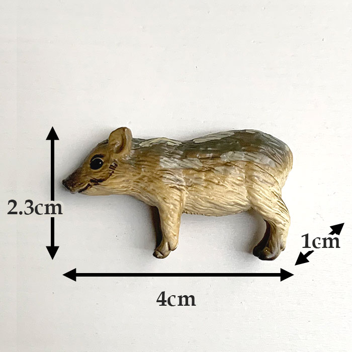 イノシシ ウリ坊 猪 剥製 置物 - 置物