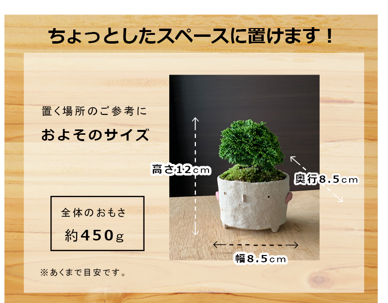 五葉松