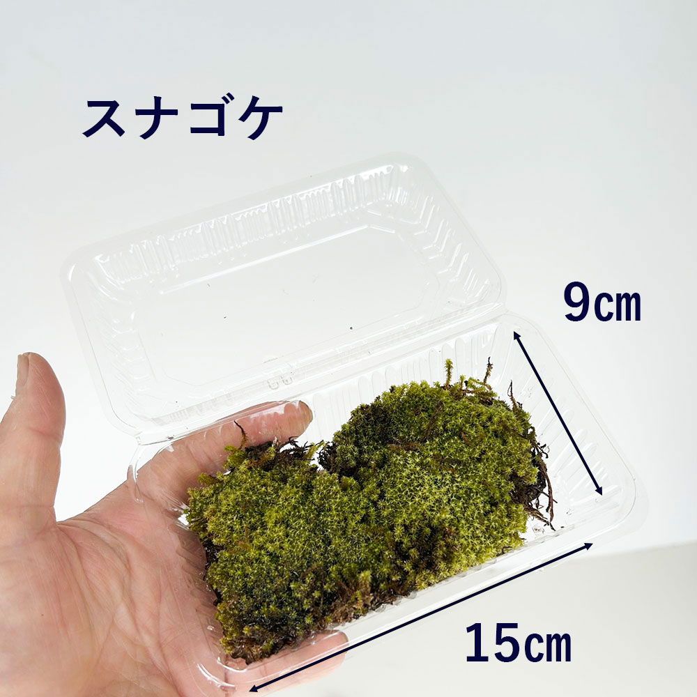 スナゴケのおすすめ人気商品一覧 通販 - Yahoo!ショッピング