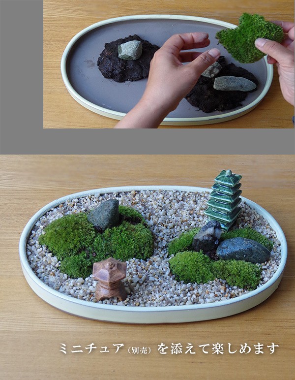 苔が主役 苔盆栽 材料 すべてお届けします こけぼんさい キット