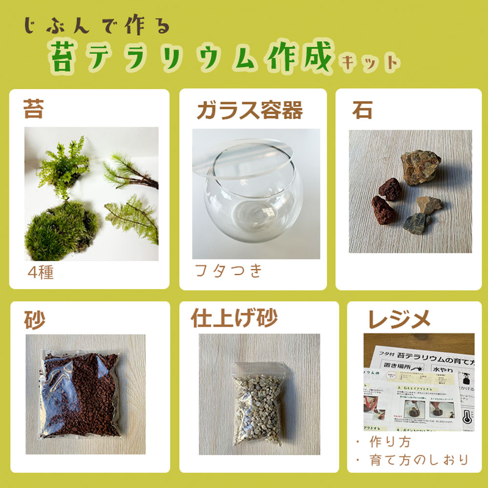 コケテラリウム 作成キット フタつき ボウル Lサイズ コケテラリウムの