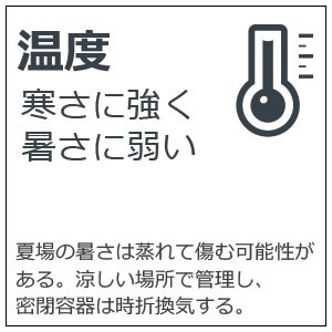 苔盆栽