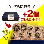 松阪牛 グルメ ハンバーグ セット6+2個【2...の詳細画像4
