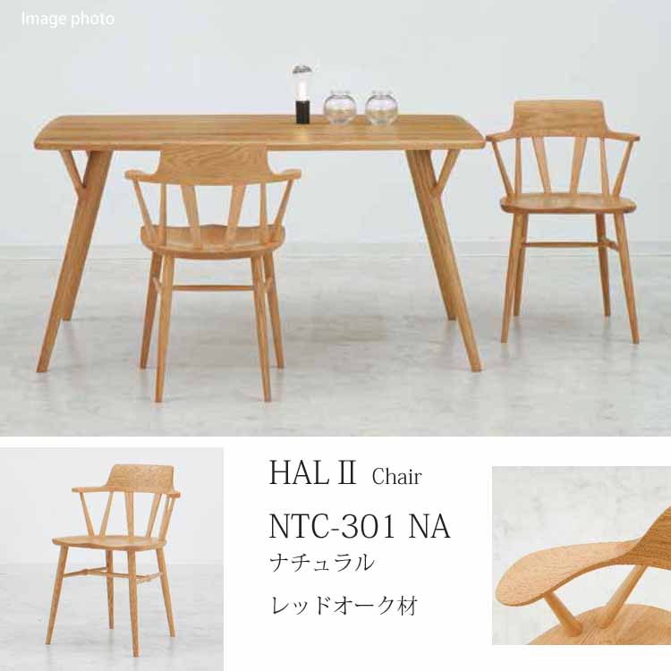 2脚セット ダイニングチェアー HAL NTC-301 NA 天然木レッドオーク材