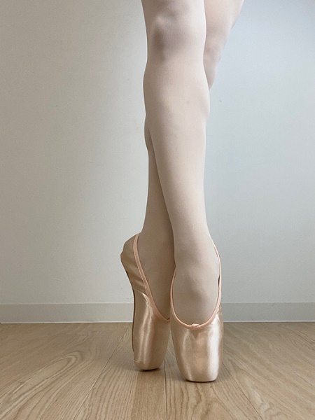 Repetto la clearance carlotta pointe shoes