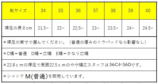 トウシューズ 初めて バレエ テス TESS シャンクM Joisam ジョイサム