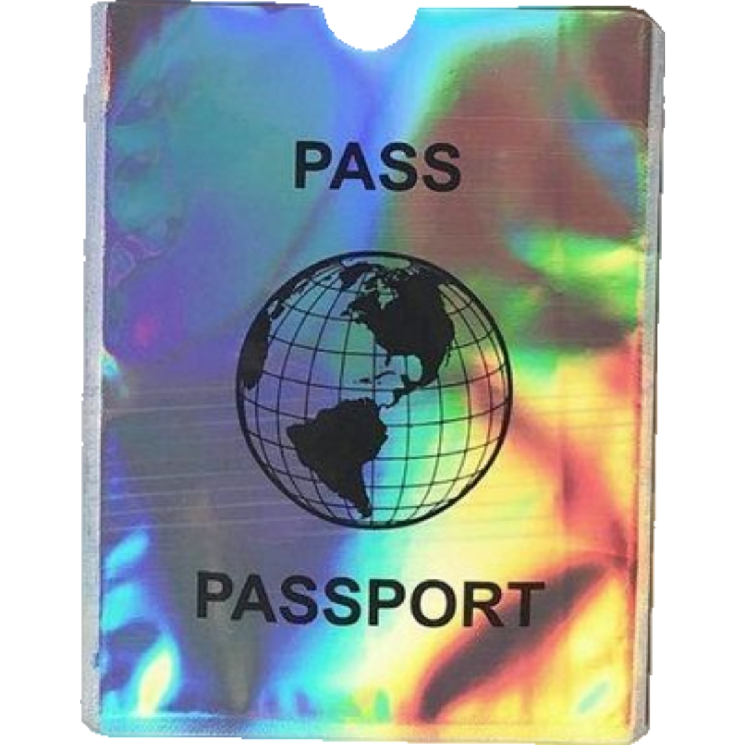 パスポートケース カードケース スキミング防止 RFID 磁気防止 カバー スリーブ 情報保護 セキュリティ パスポート クレカ クレジットカード キ｜mignonlindo｜07