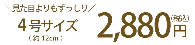 milk namadaifuku