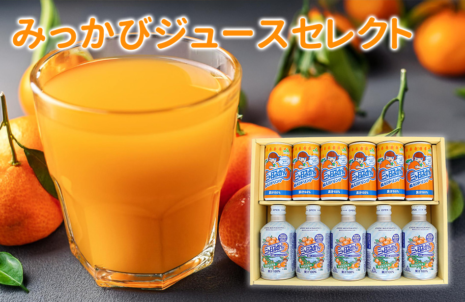 BLUE ROSEさま 専用 スピリットウィング レモン二本 オレンジ二本 BLUE ROSEさま 専用 スピリットウィング レモン二本 オレンジ二本