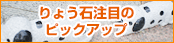 りょう石注目のピックアップ