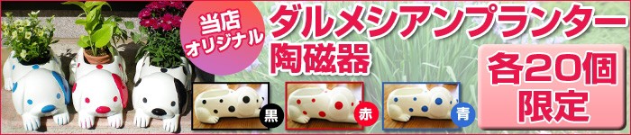 ダルメシアン車止めをモチーフに陶磁器プランター