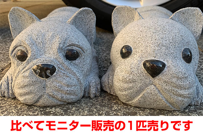 比べてモニター販売の1匹売りです