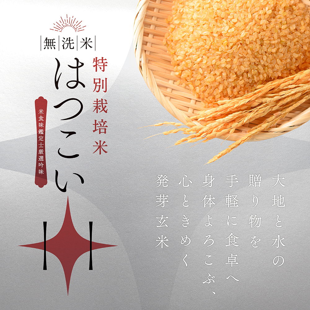 発芽玄米 はつこい 特別栽培米
