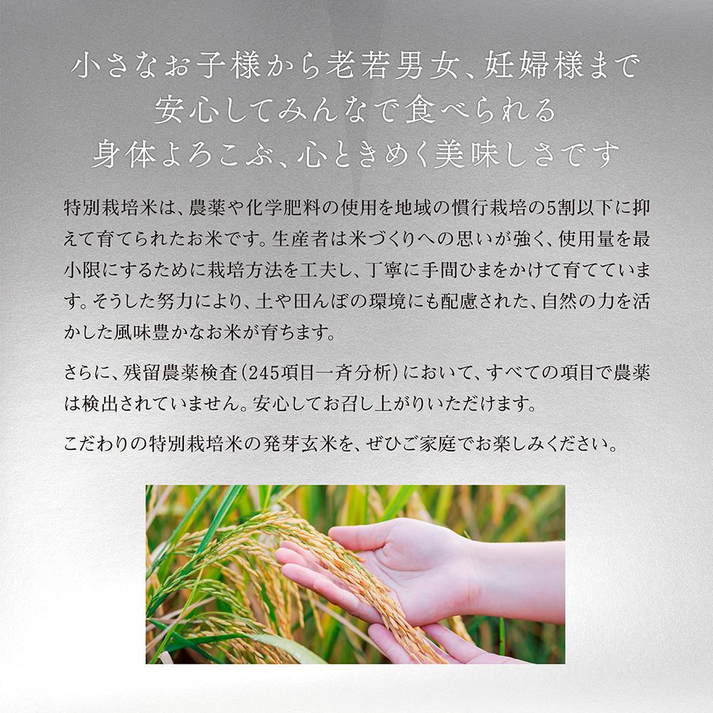 小さなお子様から老若男女、妊婦様まで