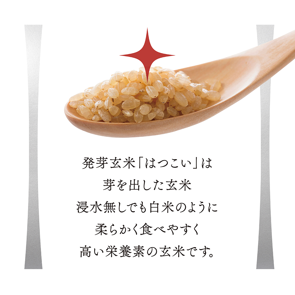 白米の様に食べやすく高い栄養素の発芽玄米