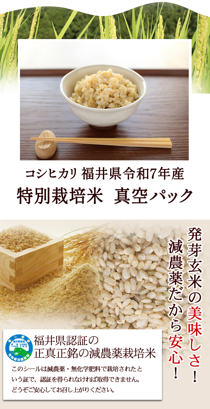 発芽玄米 コシヒカリ