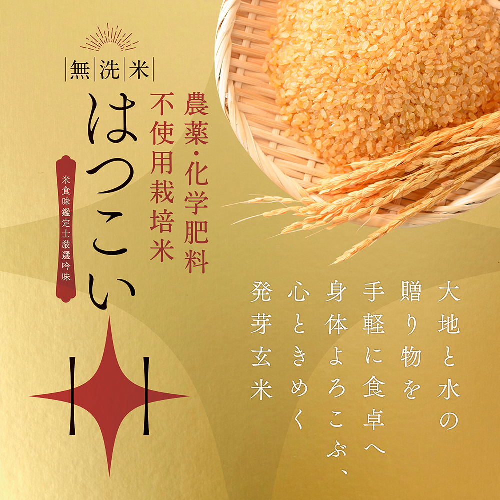 発芽玄米 はつこい 無農薬