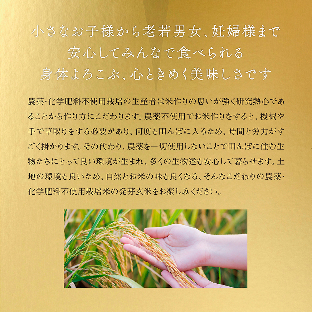 小さなお子様から老若男女、妊婦様まで