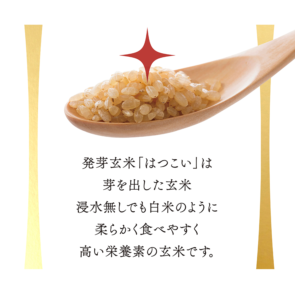 白米の様に食べやすく高い栄養素の発芽玄米