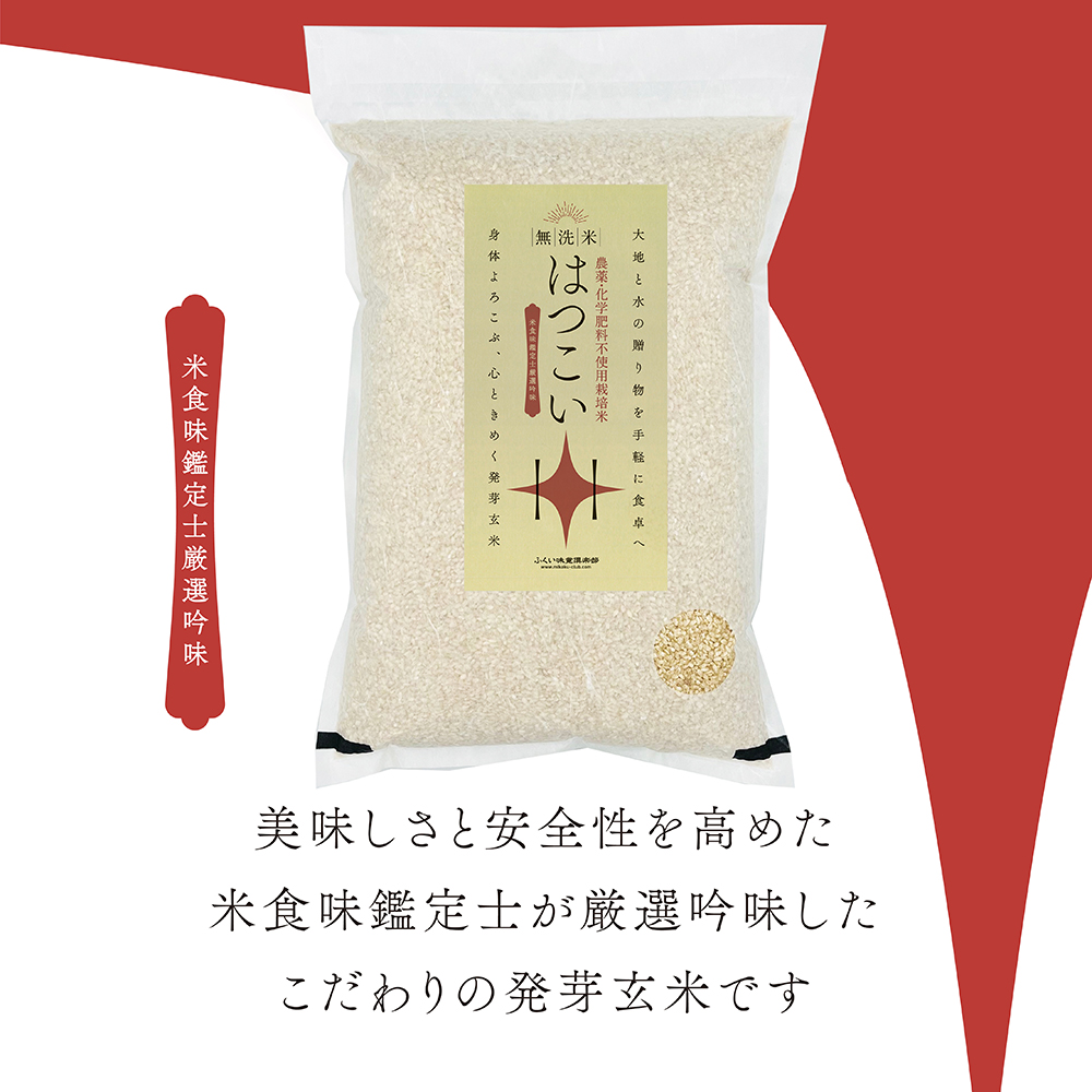 新米入荷】発芽玄米 無農薬 無洗米 5kg 農薬・化学肥料不使用栽培