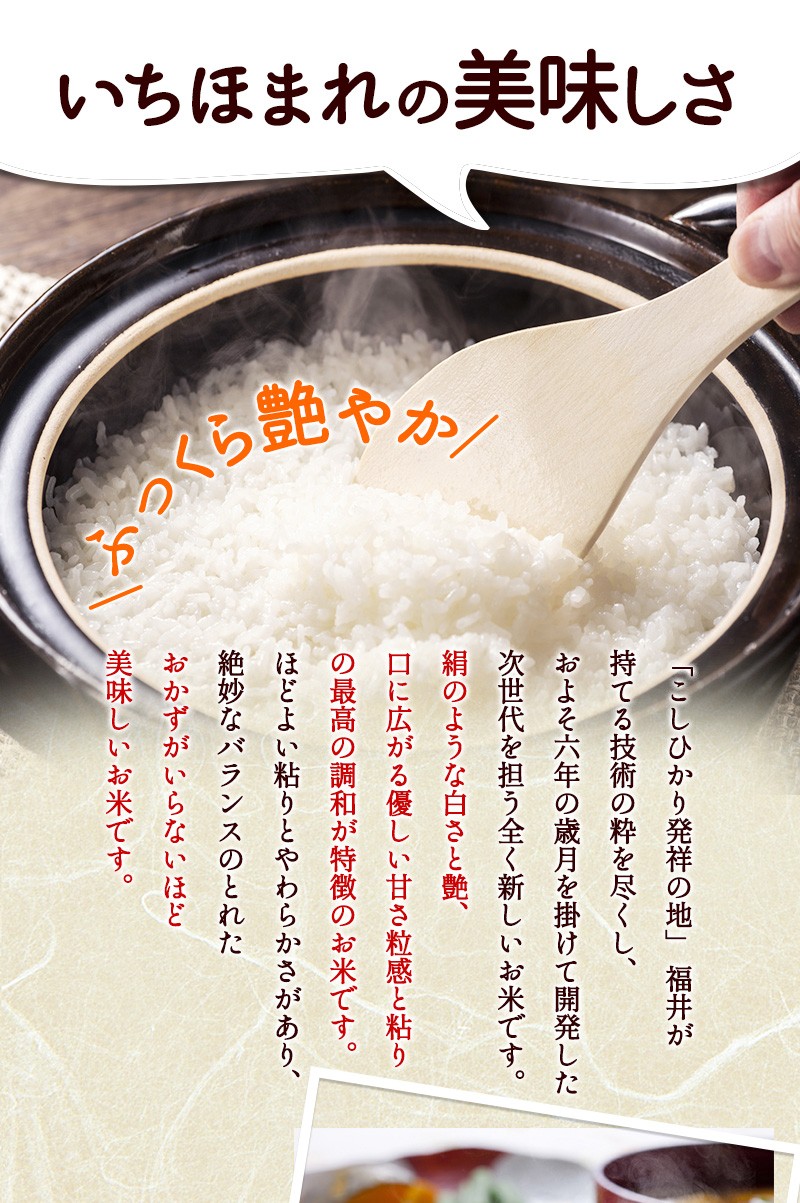 いちほまれ 10kg(5kg×2) 令和6年福井県産 送料無料 福井県の