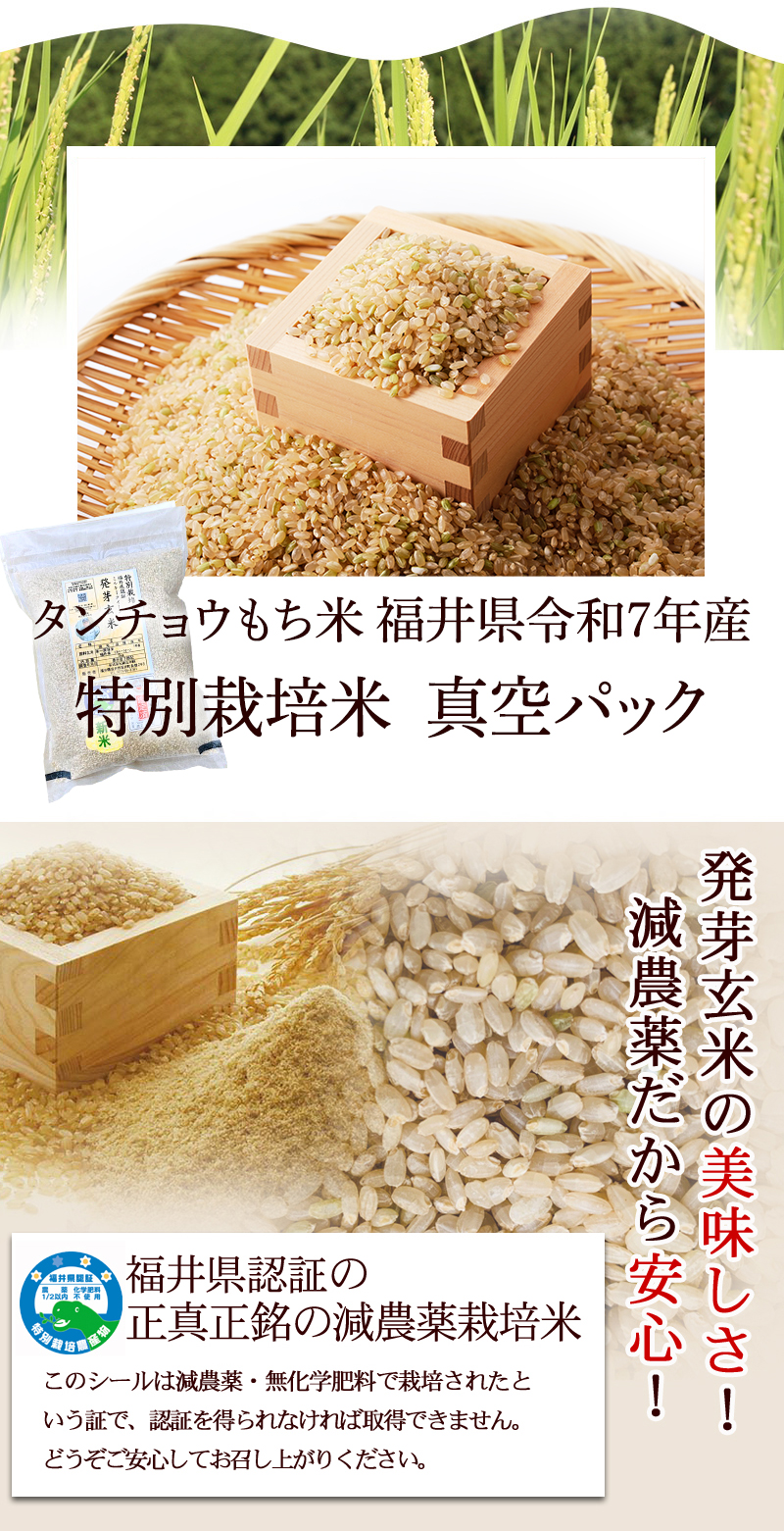 発芽玄米 もち米 タンチョウ