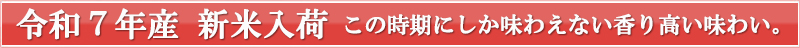 新米入荷