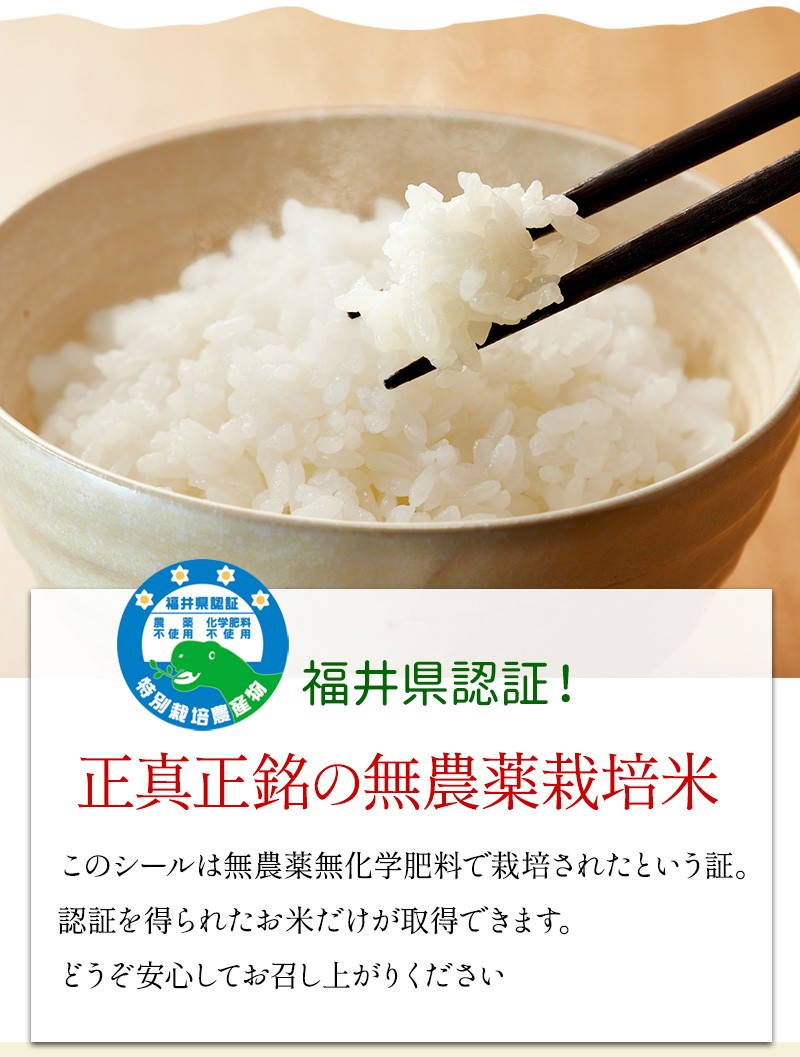 新米入荷】 無農薬 米 玄米 5kg 無農薬 コシヒカリ 特選 令和6年福井県産 送料無料 無農薬・無化学肥料栽培 : m-16 : 発芽玄米のふくい味覚倶楽部  - 通販 - Yahoo!ショッピング