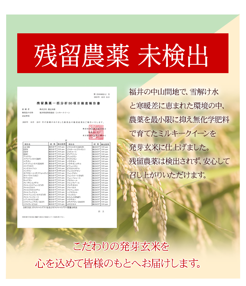 発芽玄米 ミルキークイーン 2Kg 残留農薬ゼロ 無洗米 甘みがあり