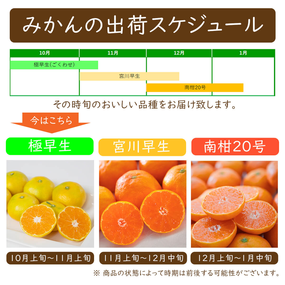 愛媛県産 シャインマスカット 極早生みかん セット コンパクトBOX 柑橘 果物