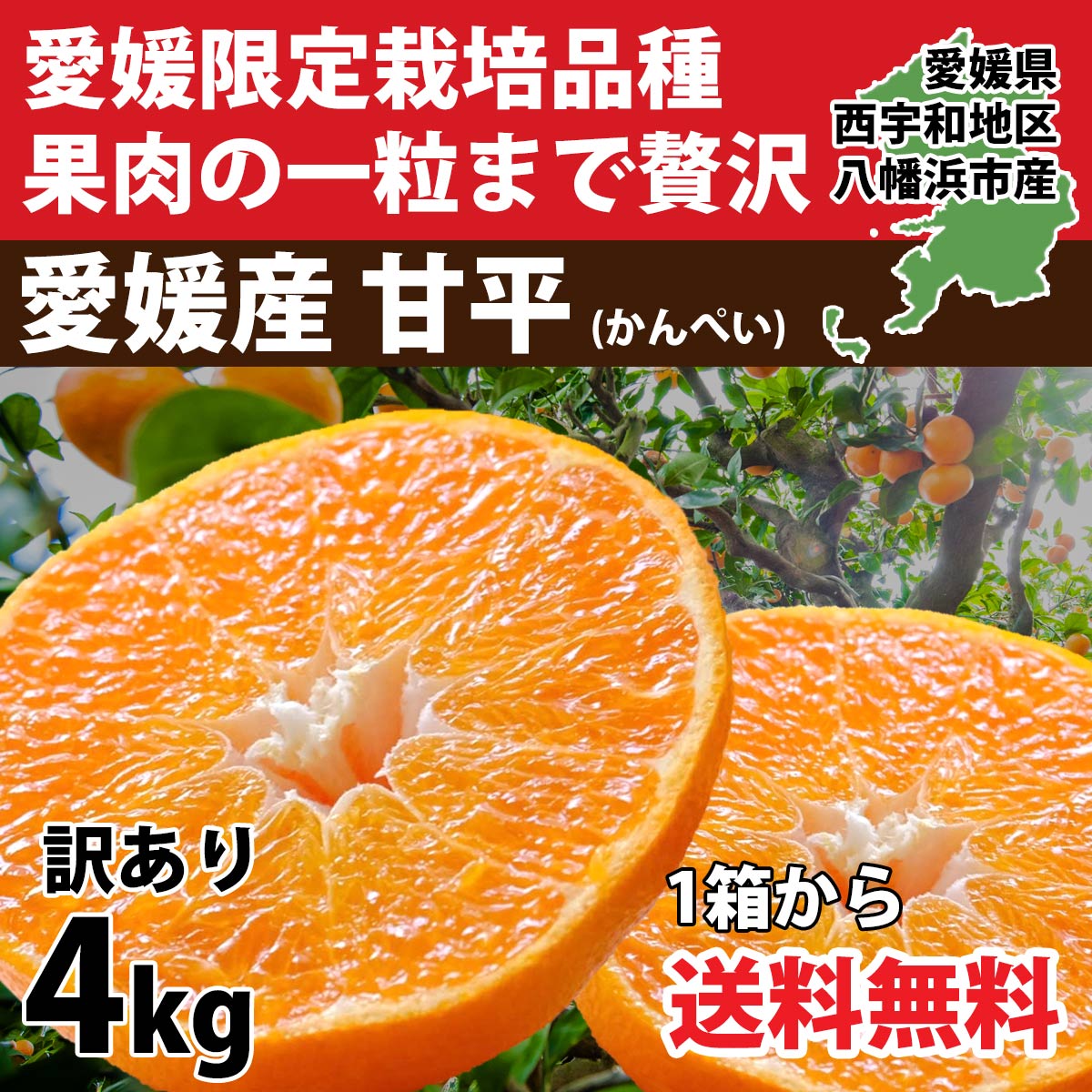 みかん 甘平 かんぺい 訳あり 4kg 濃厚 甘い 高級 愛媛 限定 ご家庭用 有名 人気 お取り寄せ 旬 約10〜40個入り010112000408