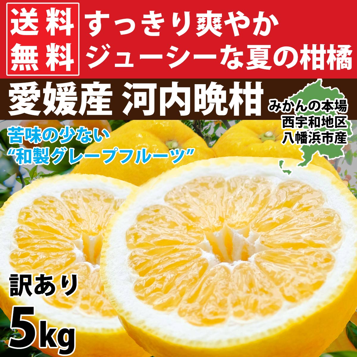 再入荷 みかん 愛媛産 河内晩柑 完熟 和製グレープフルーツ 5kg 送料無料 訳あり フルーツ くだもの 旬 3営業日以内に出荷 土日祝日を除く クール便対応 Kawati W4 みかんの花 通販 Yahoo ショッピング