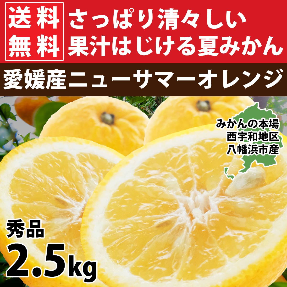 日向夏 ニューサマーオレンジ 小夏 秀品 2.5kg みかん 愛媛 人気 爽やか 直送 旬 贈答