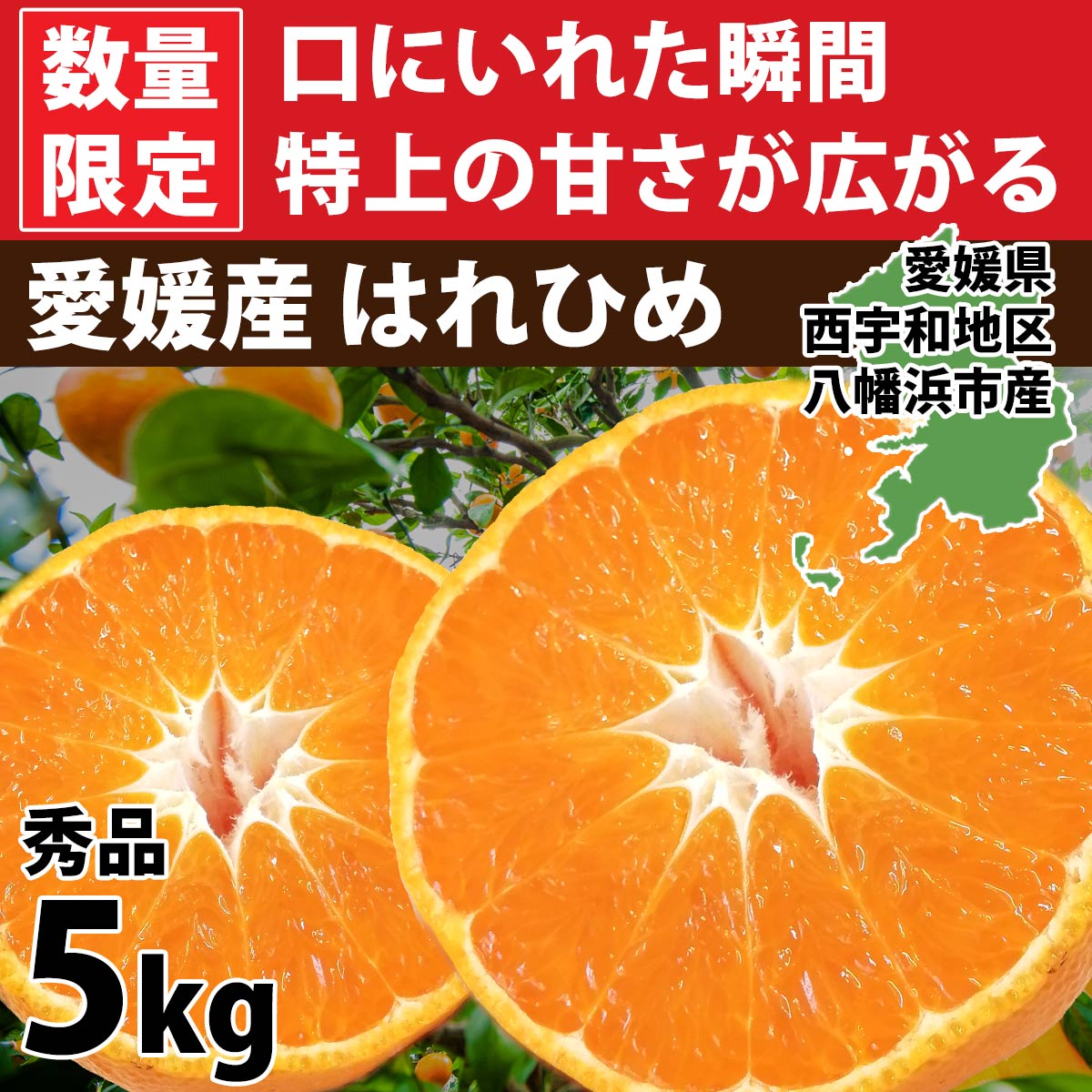 説明