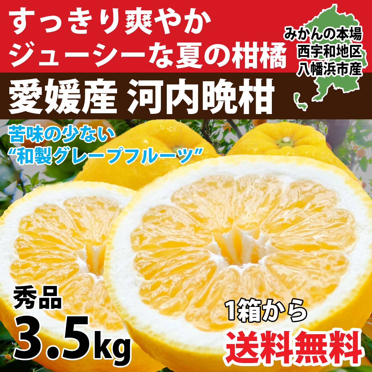 みかん 河内晩柑 訳あり 3.5kg 美生柑 みかん ジューシー 和製