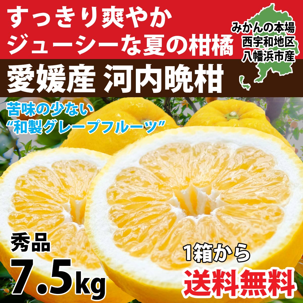 河内晩柑 秀品 7.5kg 美生柑 みかん ジューシー 和製 グレープフルーツ 