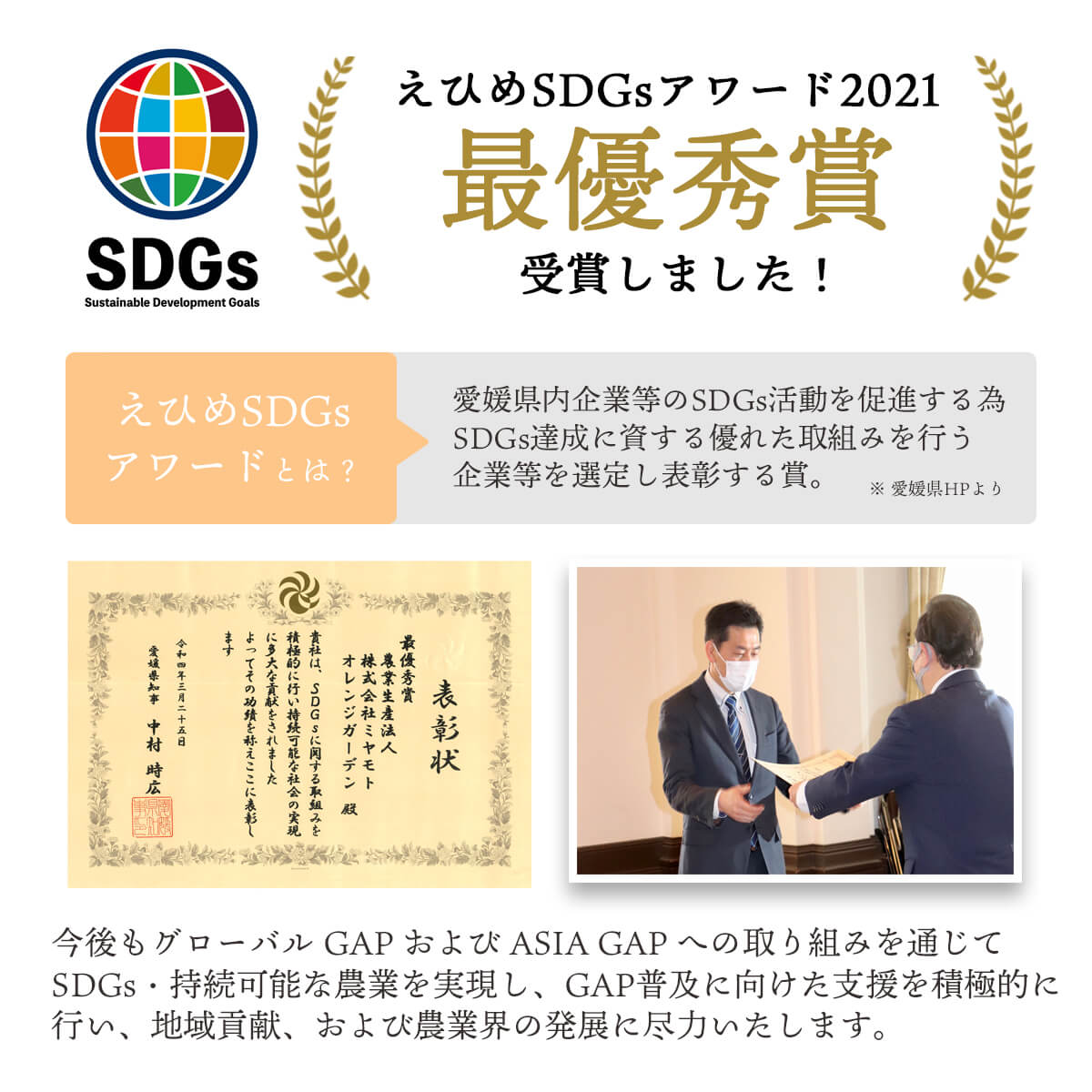 バラエティセット