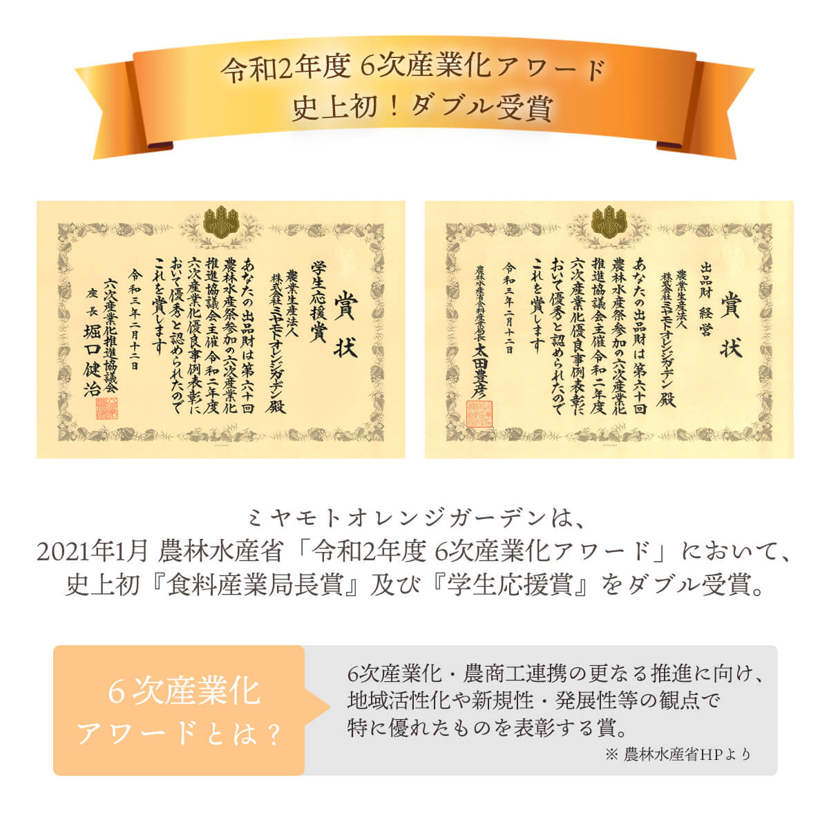 バラエティセット