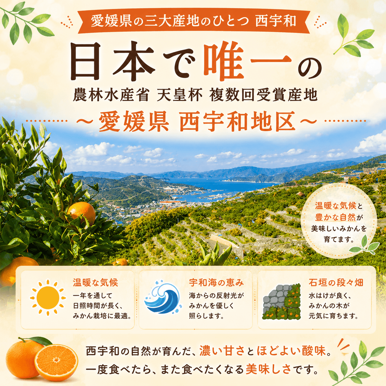 早生みかん