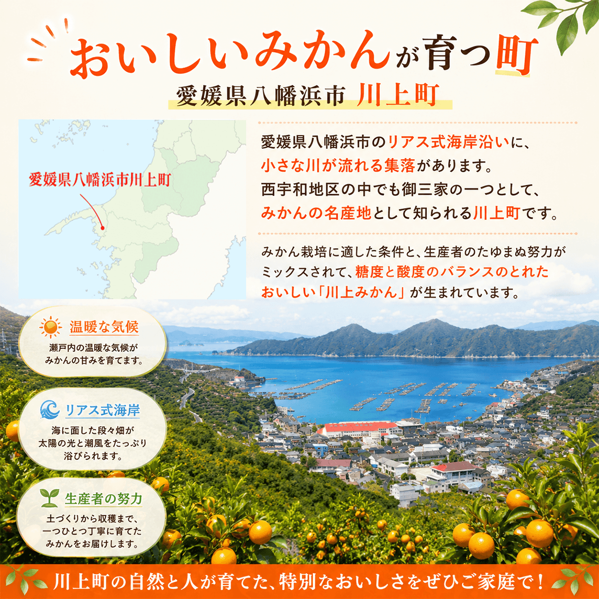 かわかみかん説明
