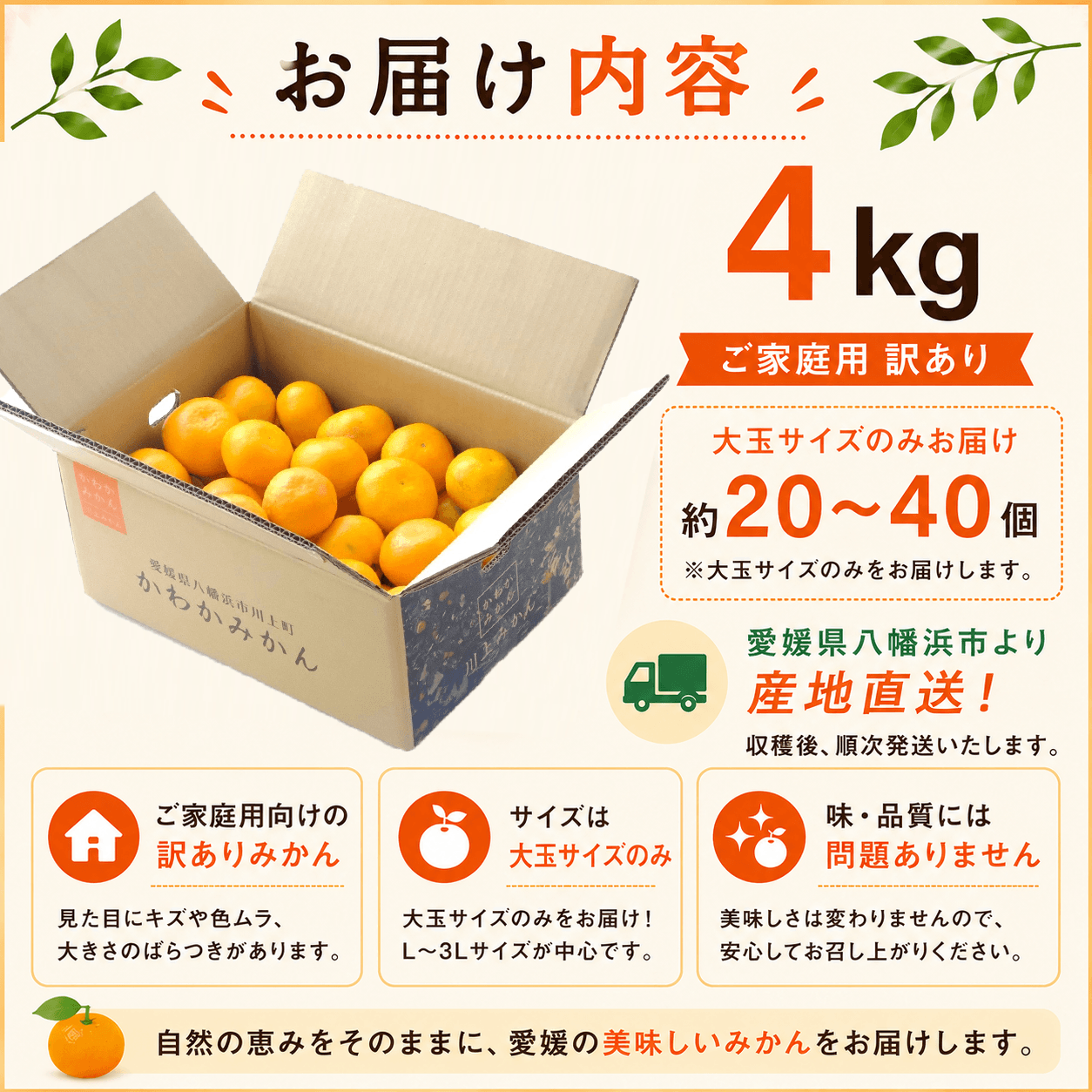 かわかみかん説明