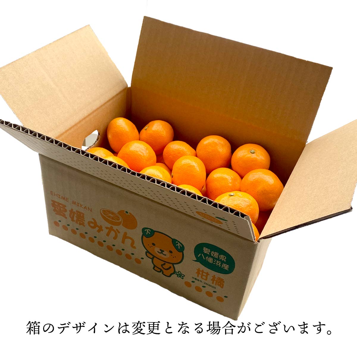 説明