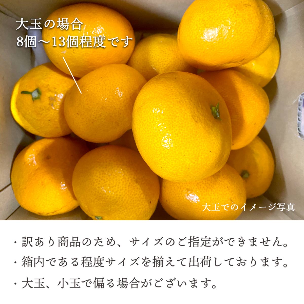 早生みかん説明