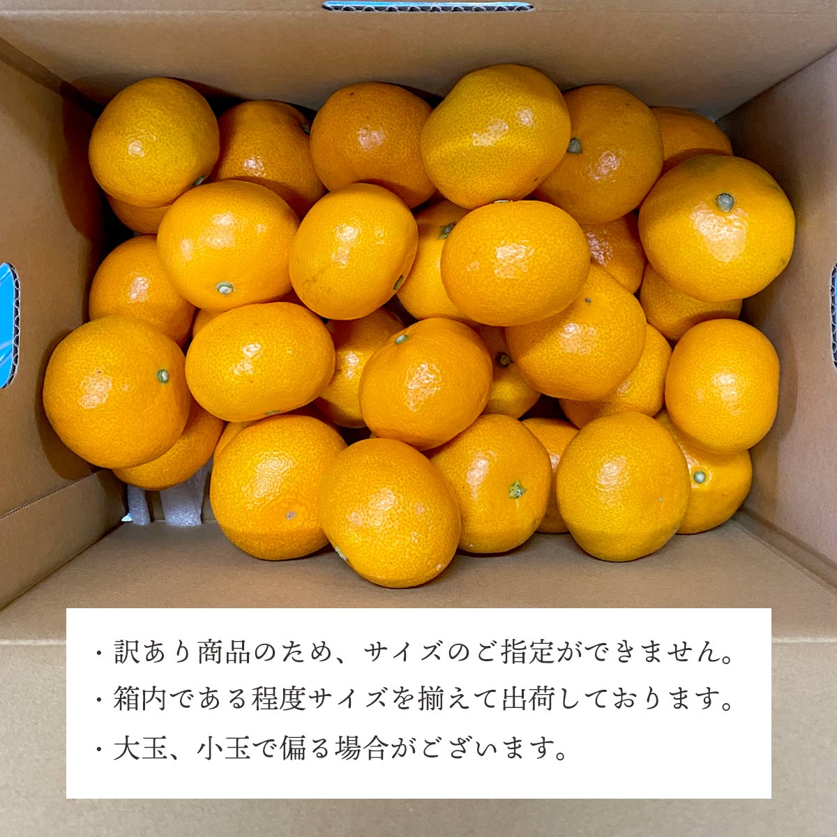 説明