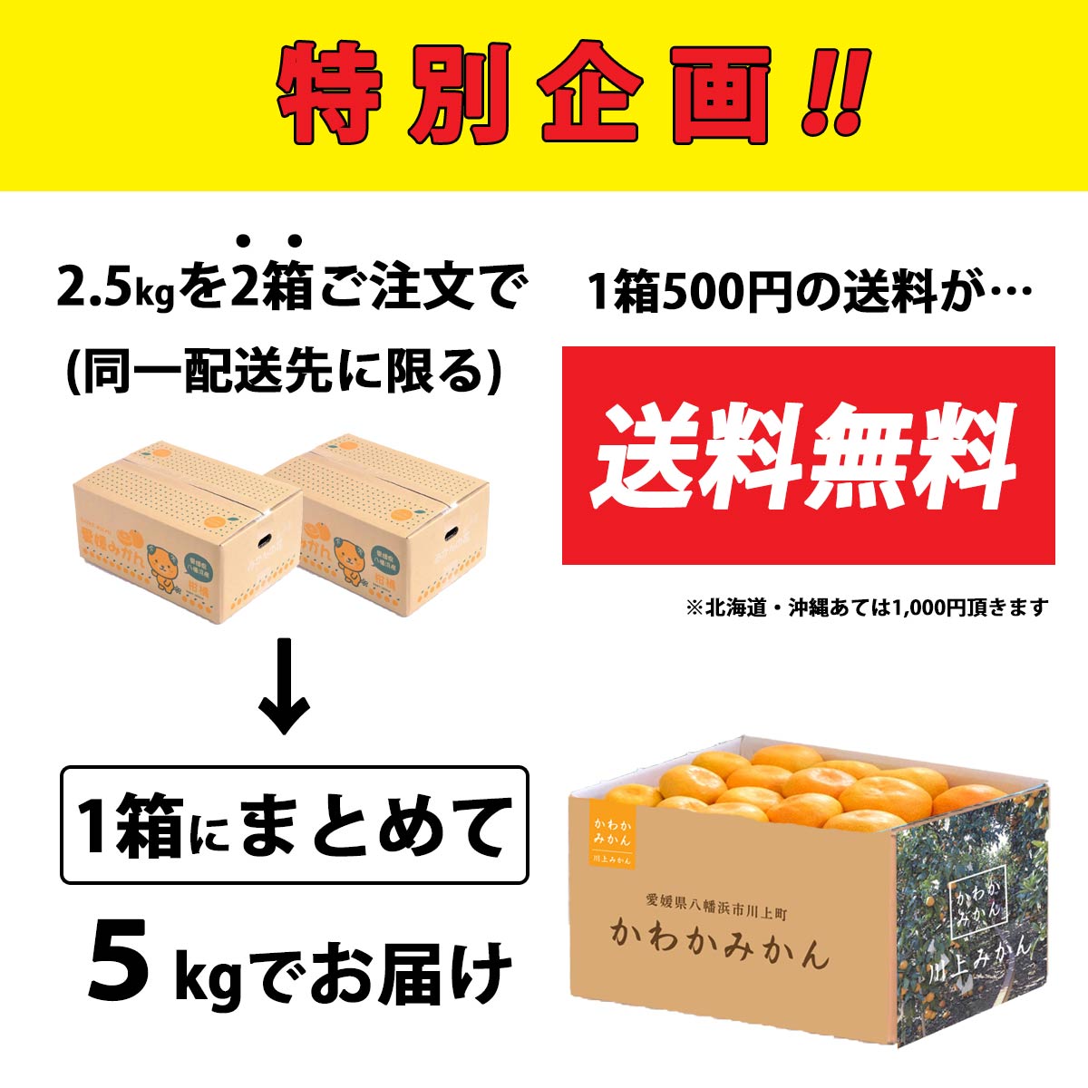 かわかみかん説明